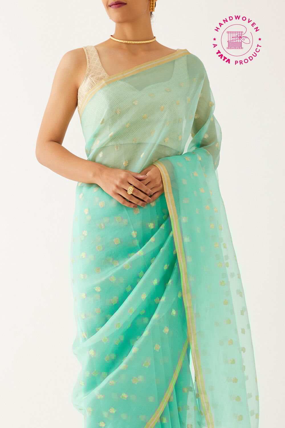 Light Green Pure Organza Banarasi Saree image number null
