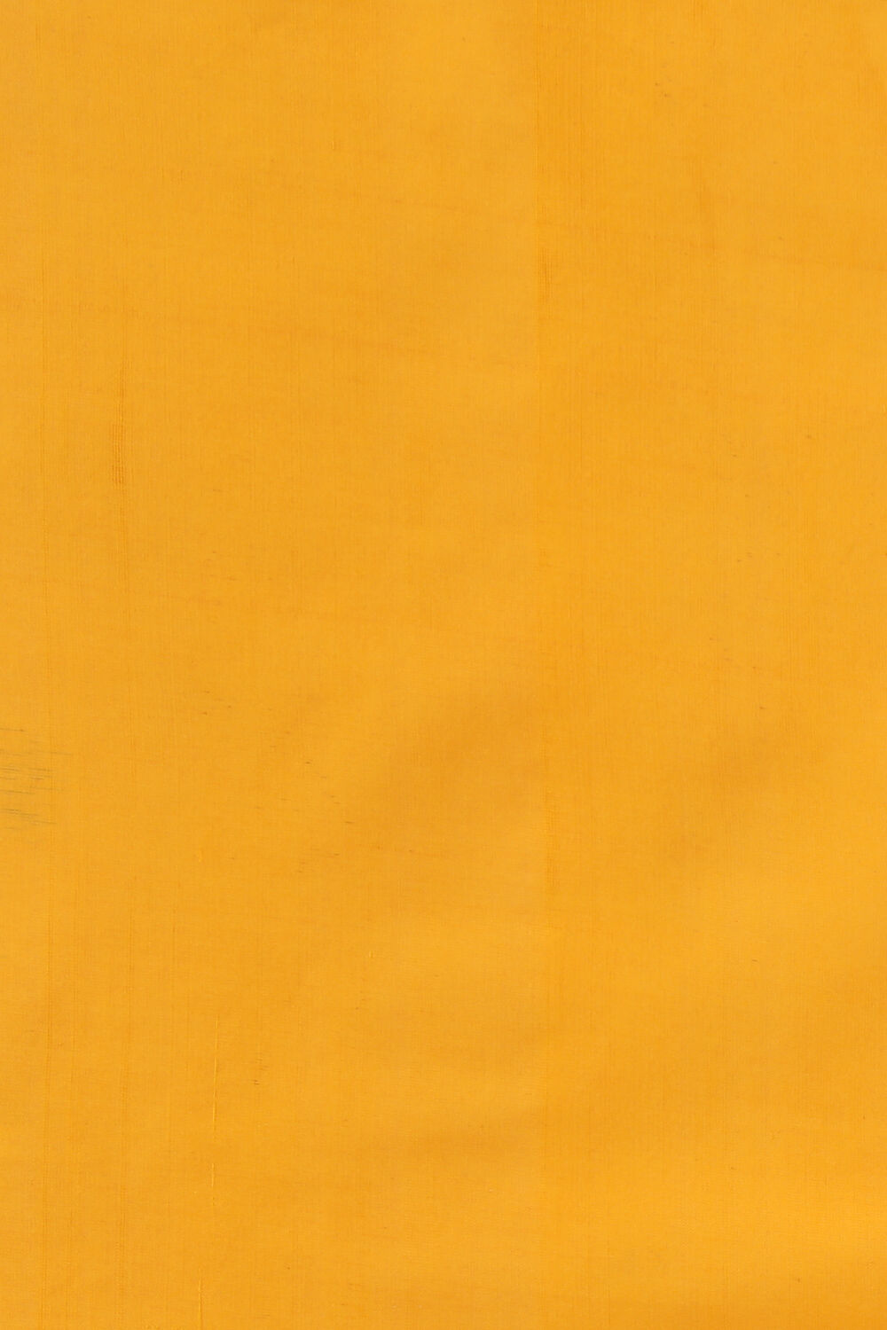 Off White Pure Cotton Pochampalli Ikat Saree image number null
