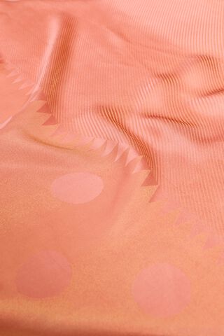Light Pink Woven Viscose Tissue Saree thumbnail image number null