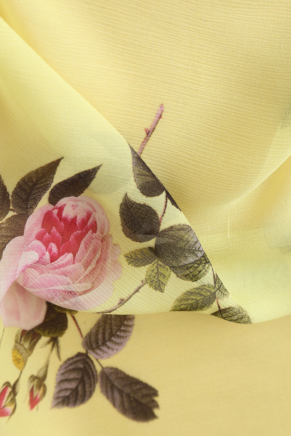 Light Yellow Pure Chiffon Digital Printed Saree image number null