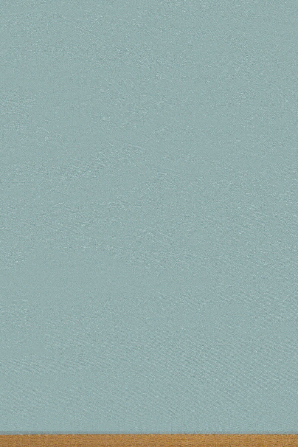 Light Blue Pure Organza Banarasi Saree image number null