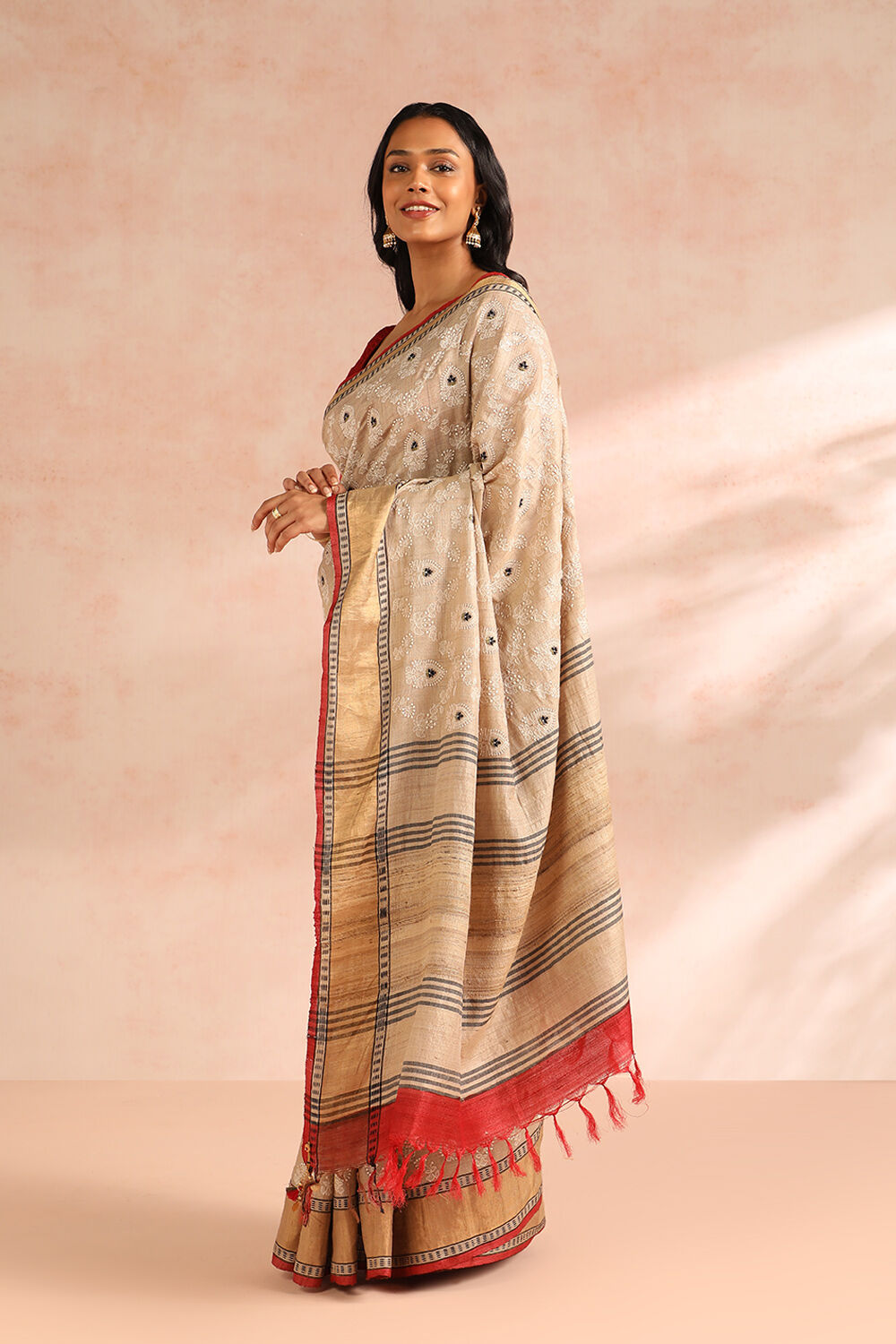 Beige Pure Tussar Silk Embroidery Saree image number null