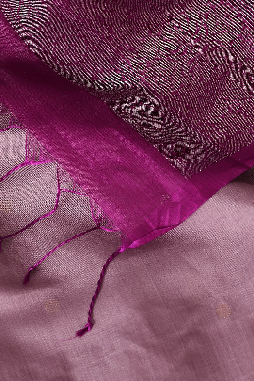 Light Violet Pure Silk Cotton South Saree image number null
