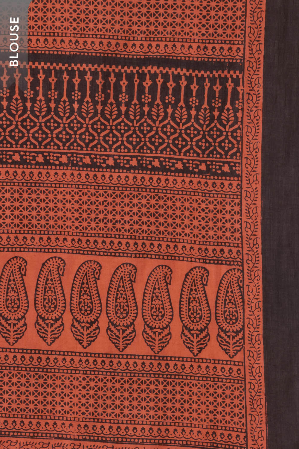 Dark Orange Bagh Block Printed Pure Cotton Saree image number null