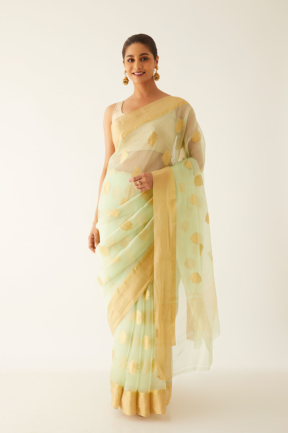 Light Green Pure Organza Banarasi Saree image number null