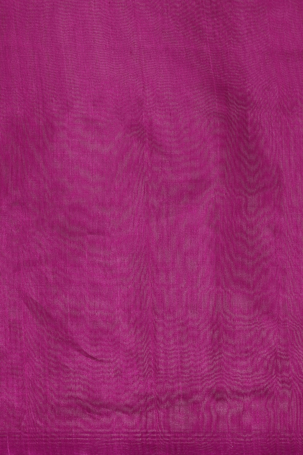 Light Violet Pure Silk Cotton South Saree image number null