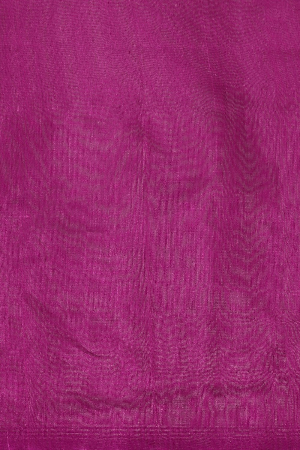Light Violet Pure Silk Cotton South Saree image number null