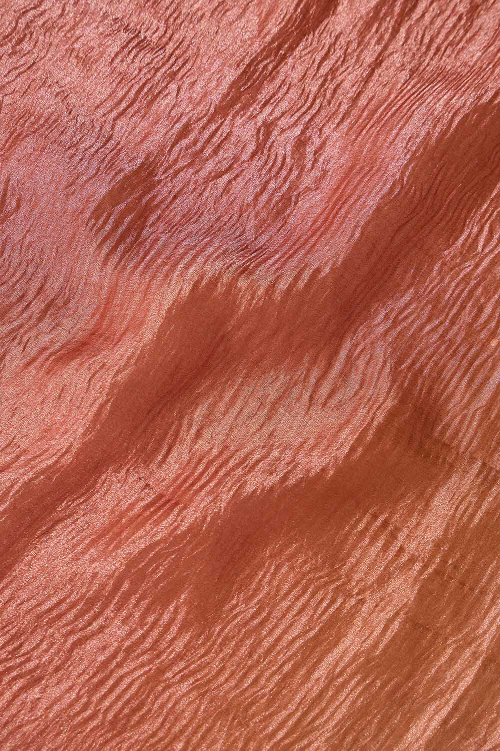 Orange Pure Silk Tissue Woven Saree image number null