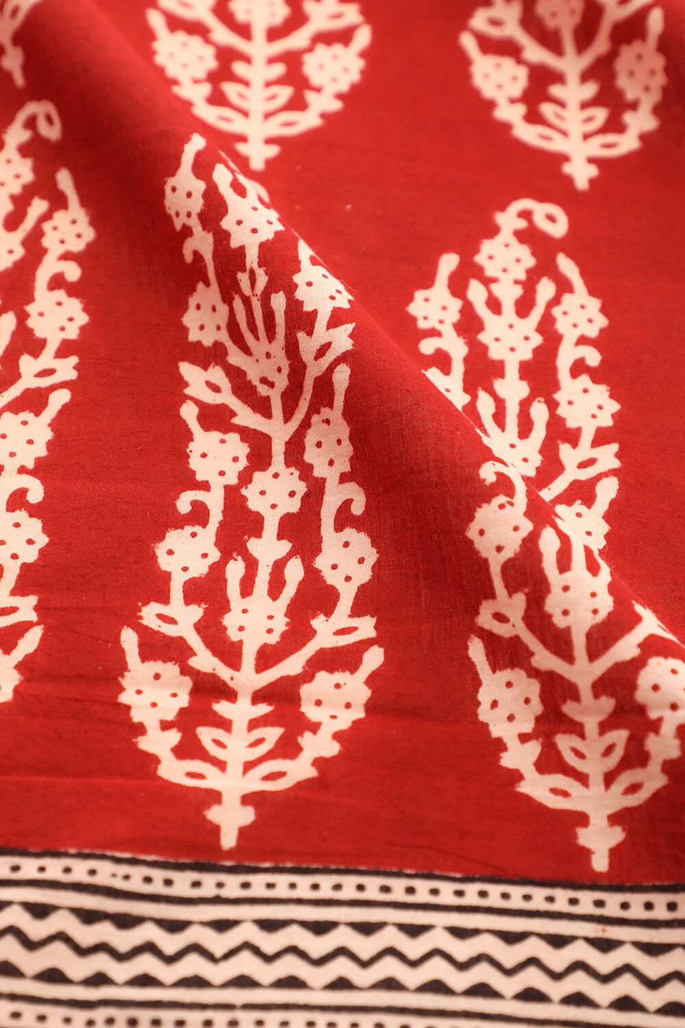 Red Bagh Block Printed Pure Cotton Saree image number null