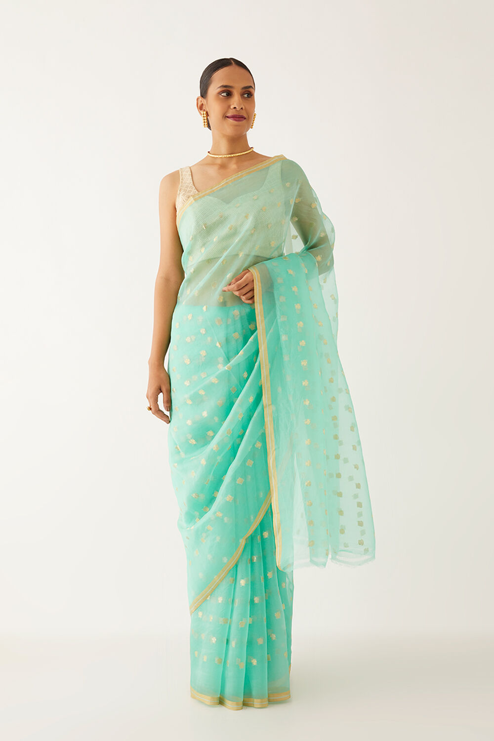 Light Green Pure Organza Banarasi Saree image number null
