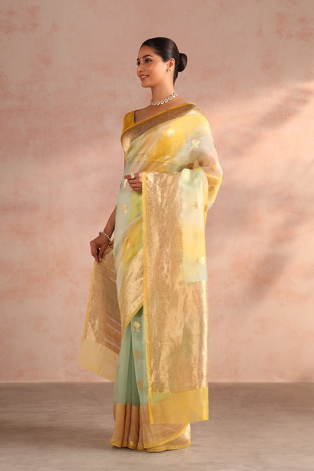 Light Green Pure Silk Organza Kadwa Banarasi Saree image number null