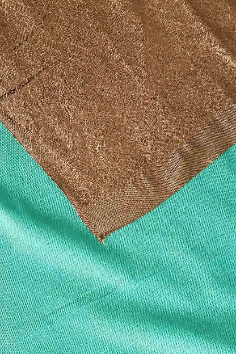 Green Pure Silk Tencel South Saree image number null