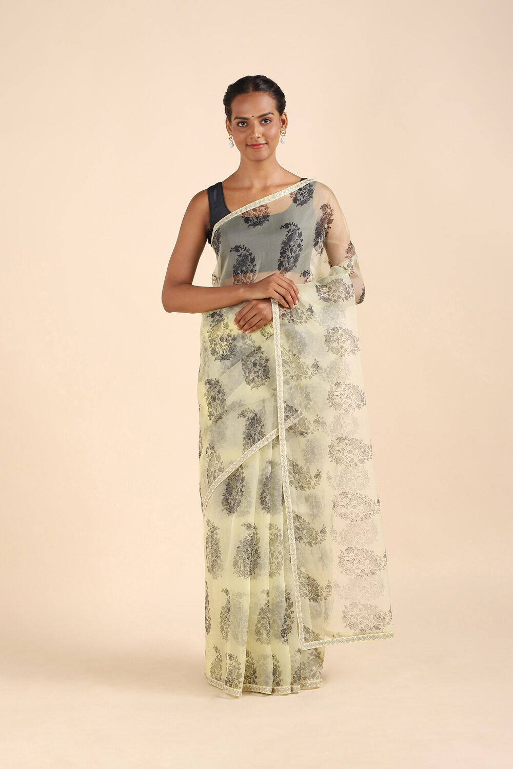 Beige Pure Organza Digital Printed Saree image number null