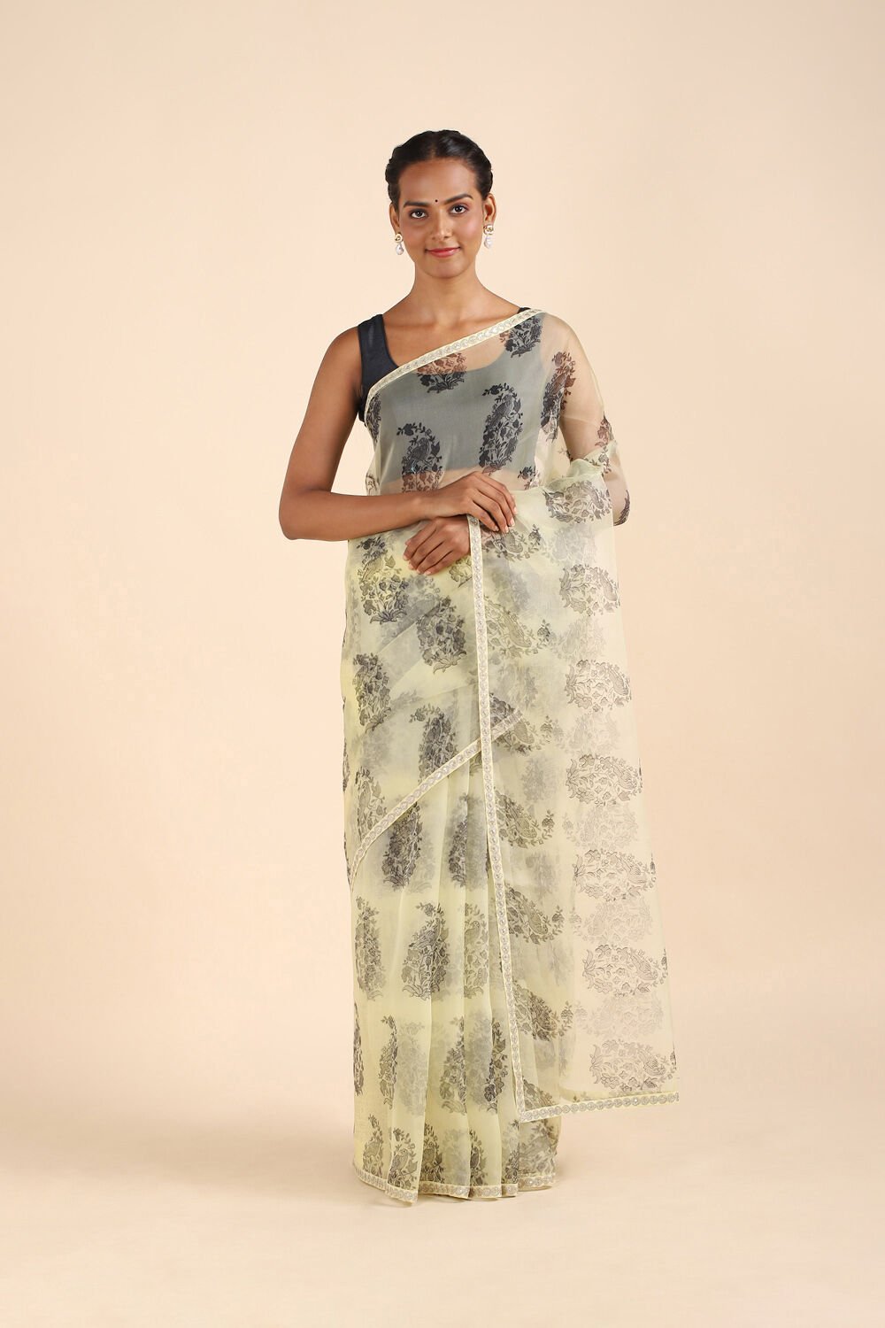 Beige Pure Organza Digital Printed Saree image number null