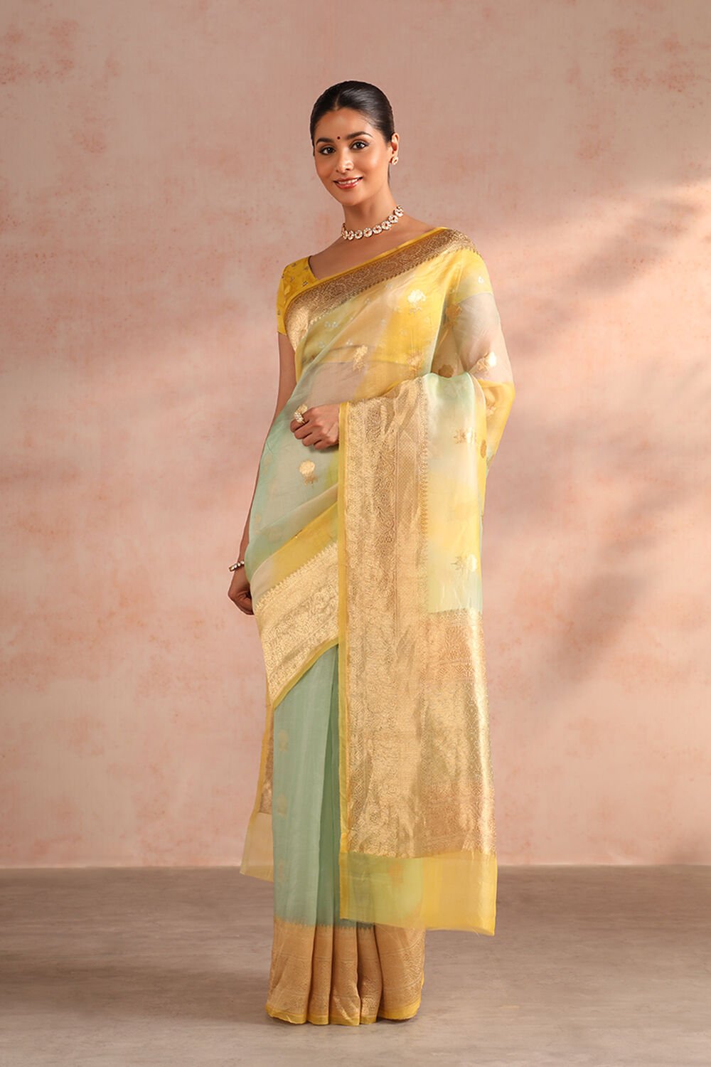 Light Green Pure Silk Organza Kadwa Banarasi Saree image number null