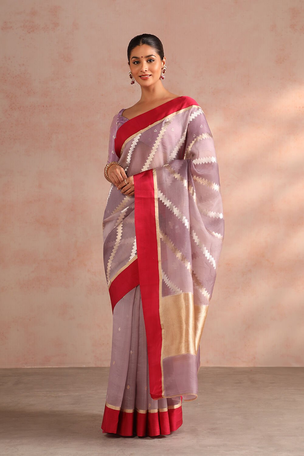 Violet Pure Silk Organza Kadwa Banarasi Saree image number null
