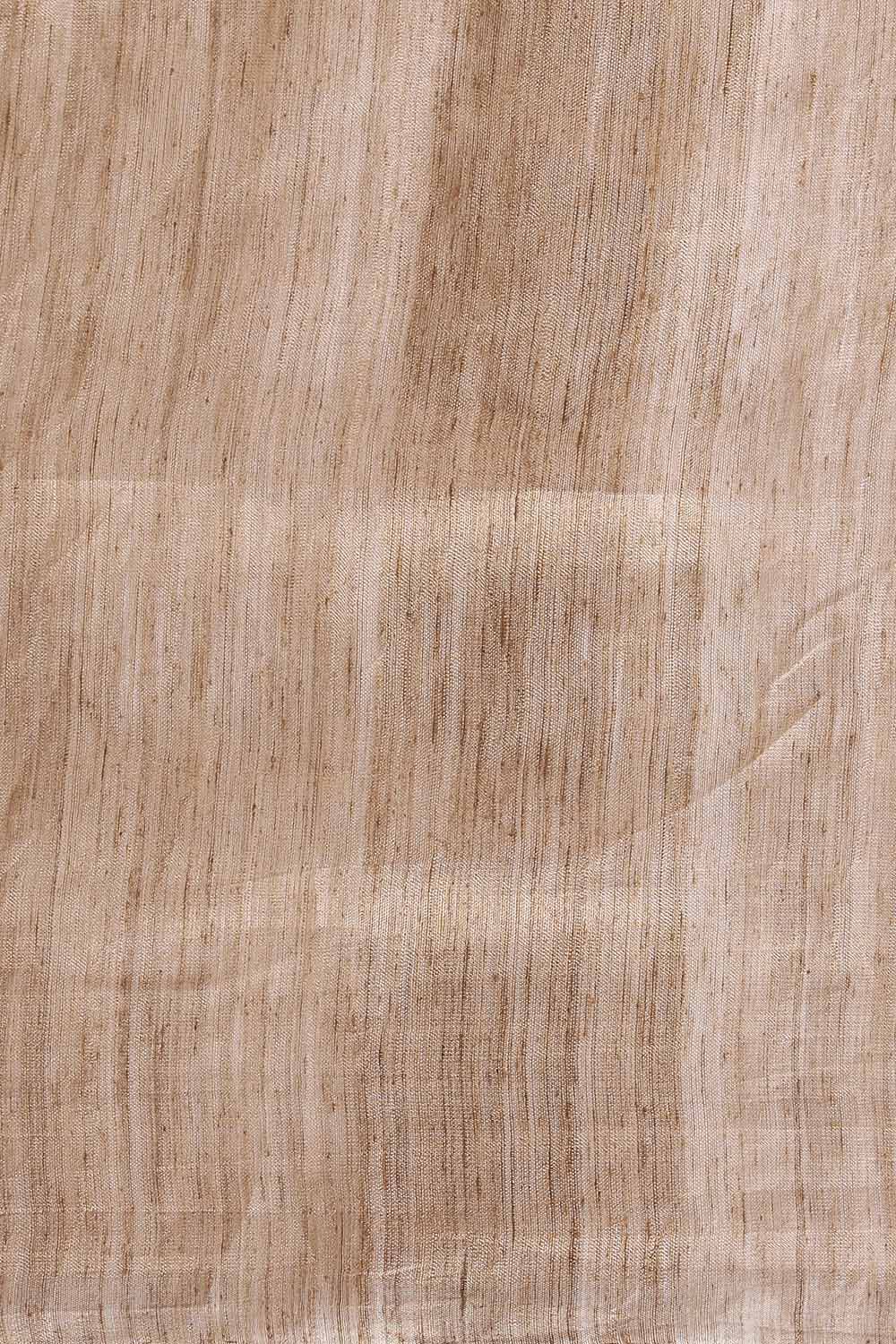 Beige Pure Tissue Vanya Jamdani Saree image number null