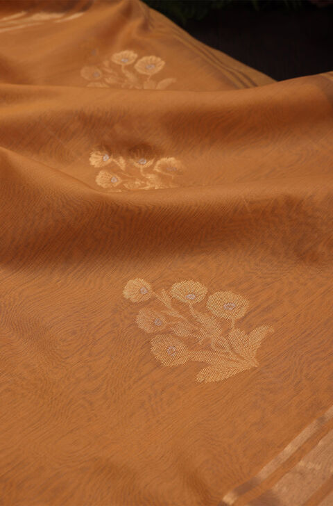 Light Orange Chanderi Silk Cotton Saree