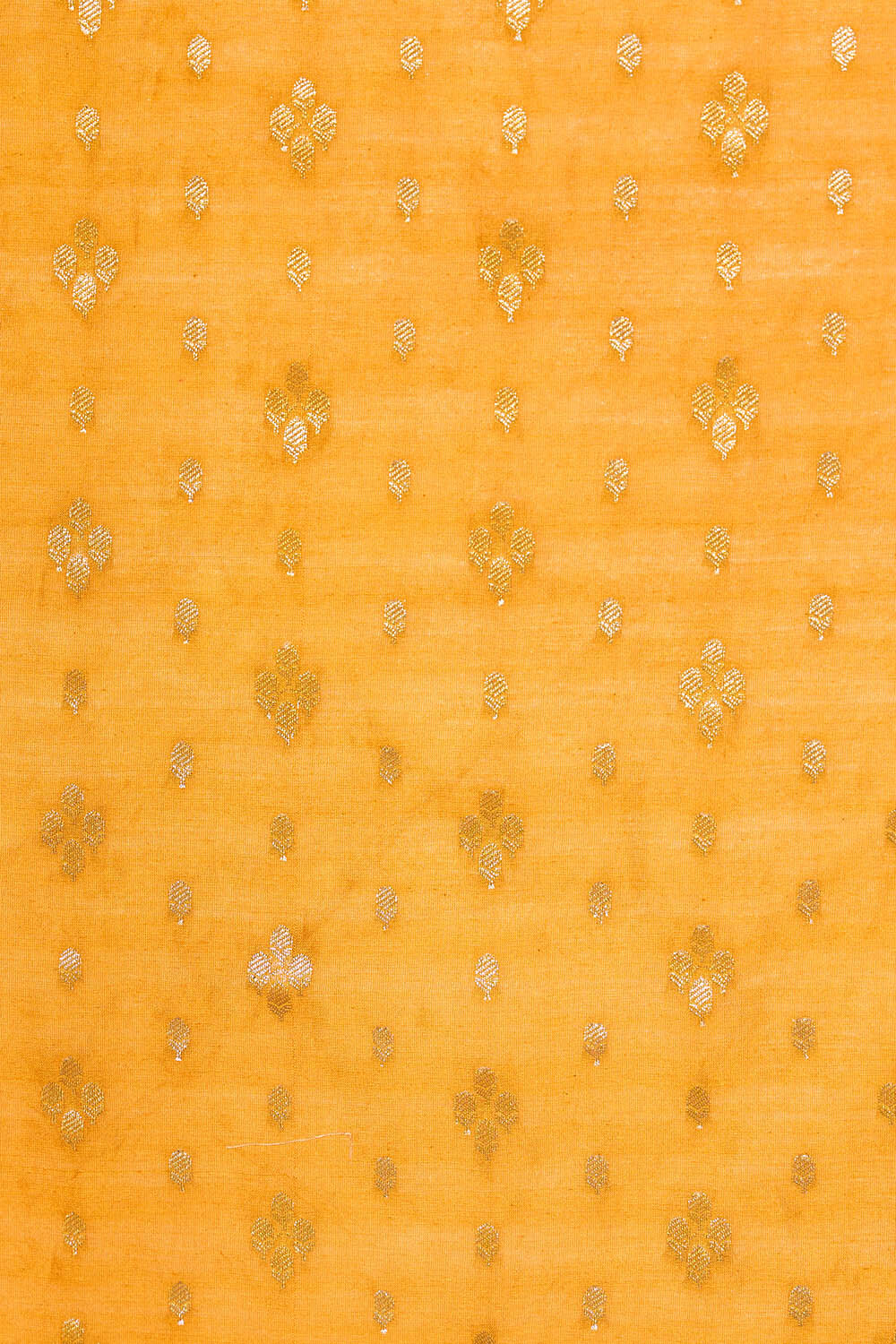 Off White Pure Silk Cotton Embroidered Saree image number null