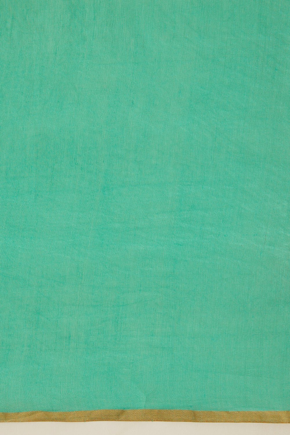 Light Green Pure Organza Banarasi Saree image number null