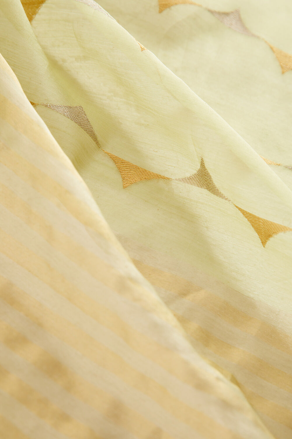 Light Green Pure Silk Cotton Eknaliya Chanderi Saree image number null