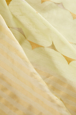 Light Green Pure Silk Cotton Eknaliya Chanderi Saree thumbnail image number null