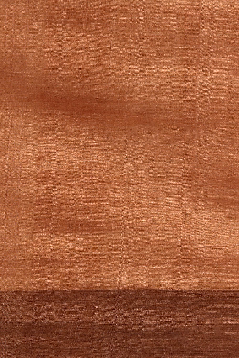 Light Brown Pure Cotton Odissa Ikat Saree image number null