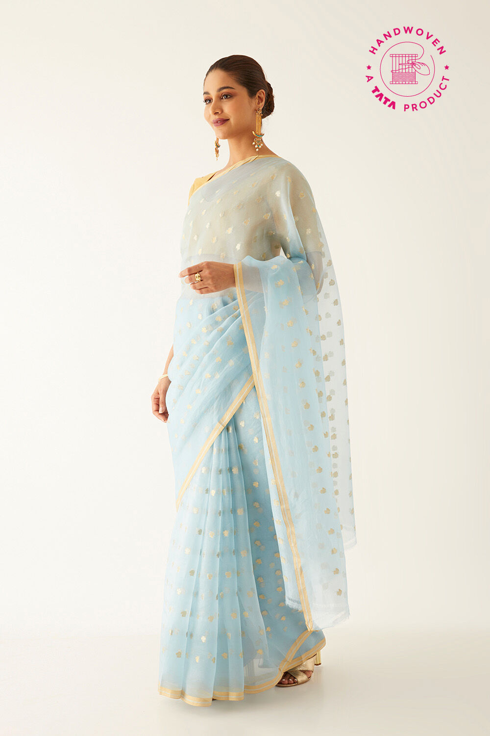Light Blue Pure Organza Banarasi Saree image number null