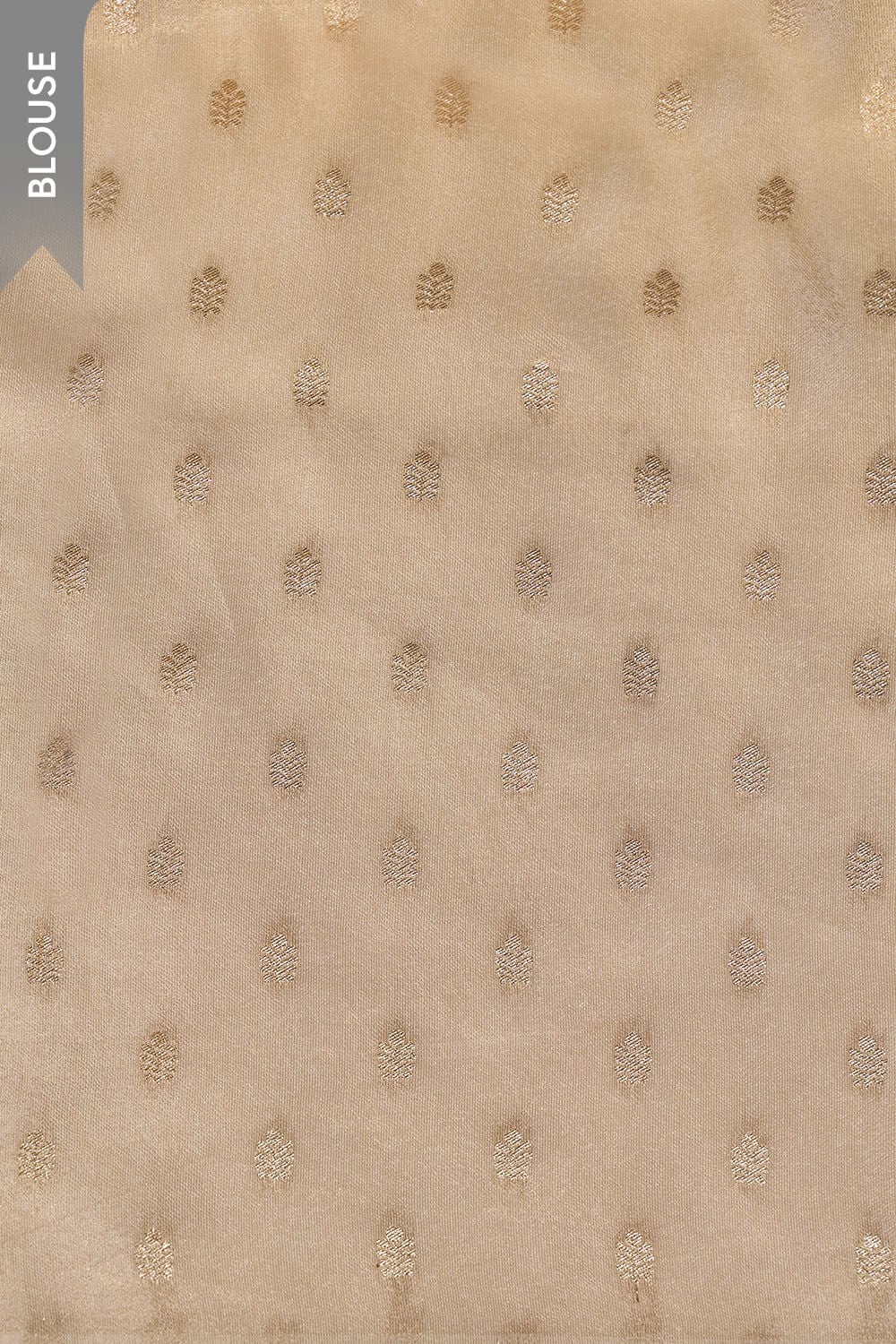 Beige Printed Viscose Tissue Saree image number null