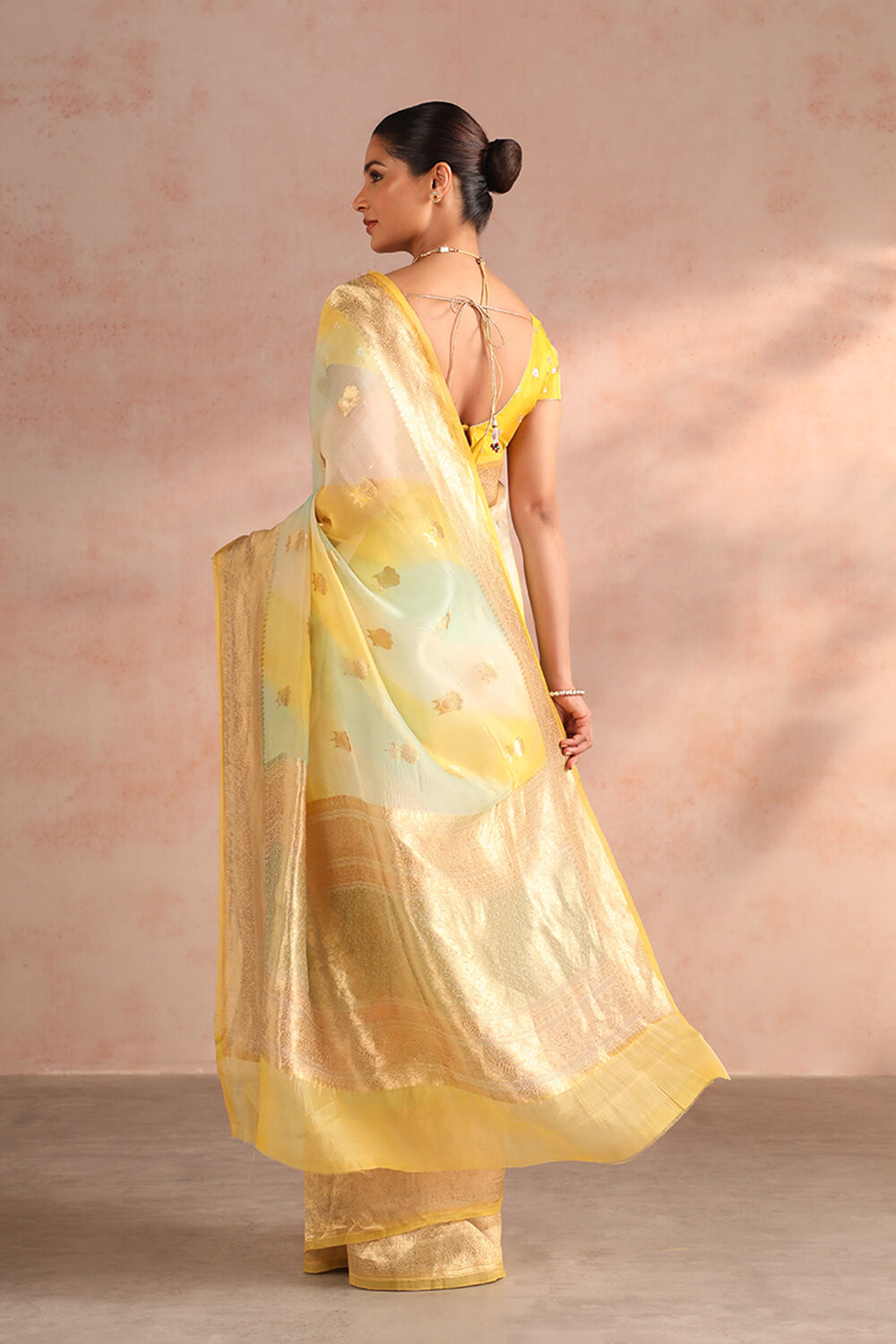 Light Green Pure Silk Organza Kadwa Banarasi Saree image number null