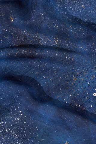 Dark Blue Pure Silk Organza Embroidered Saree thumbnail image number null