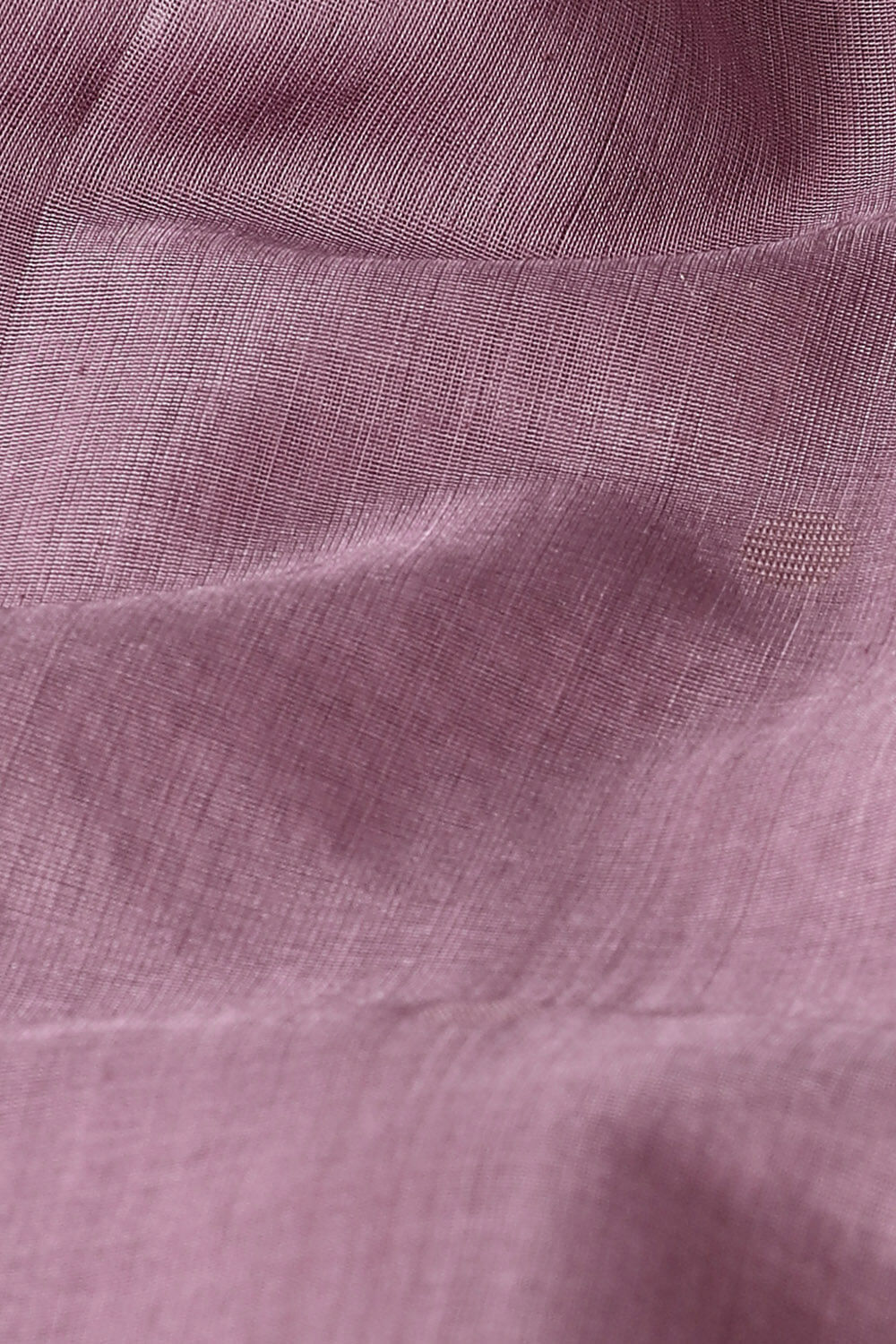 Light Violet Pure Silk Cotton South Saree image number null