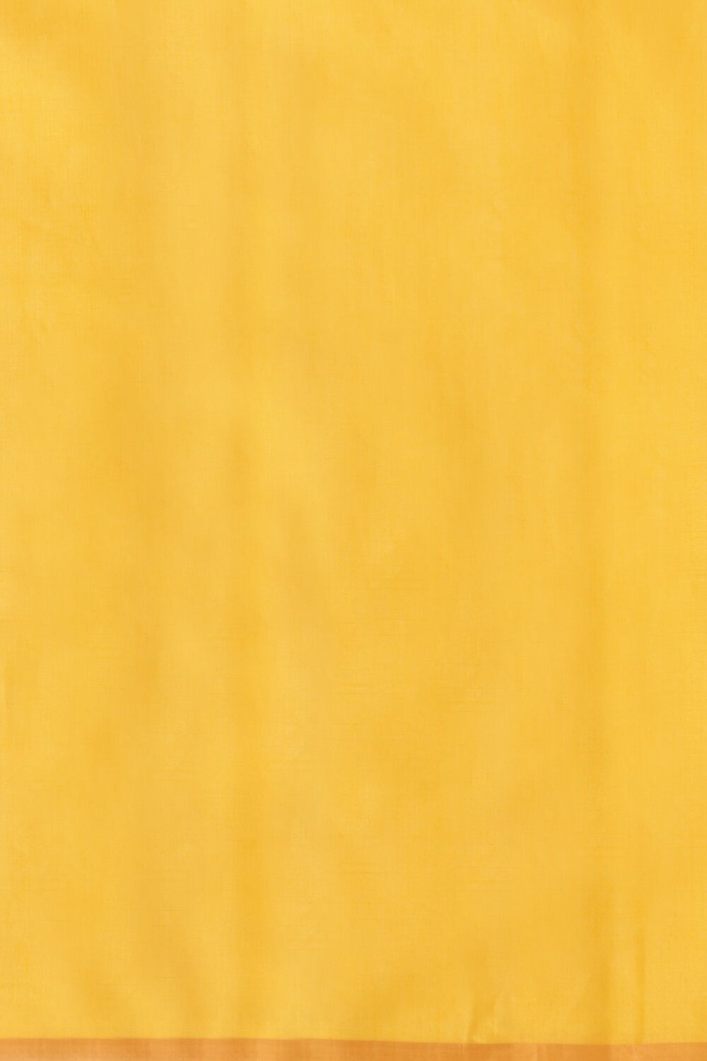 Dark Yellow Woven Pure Tissue Cotton Chanderi Saree image number null