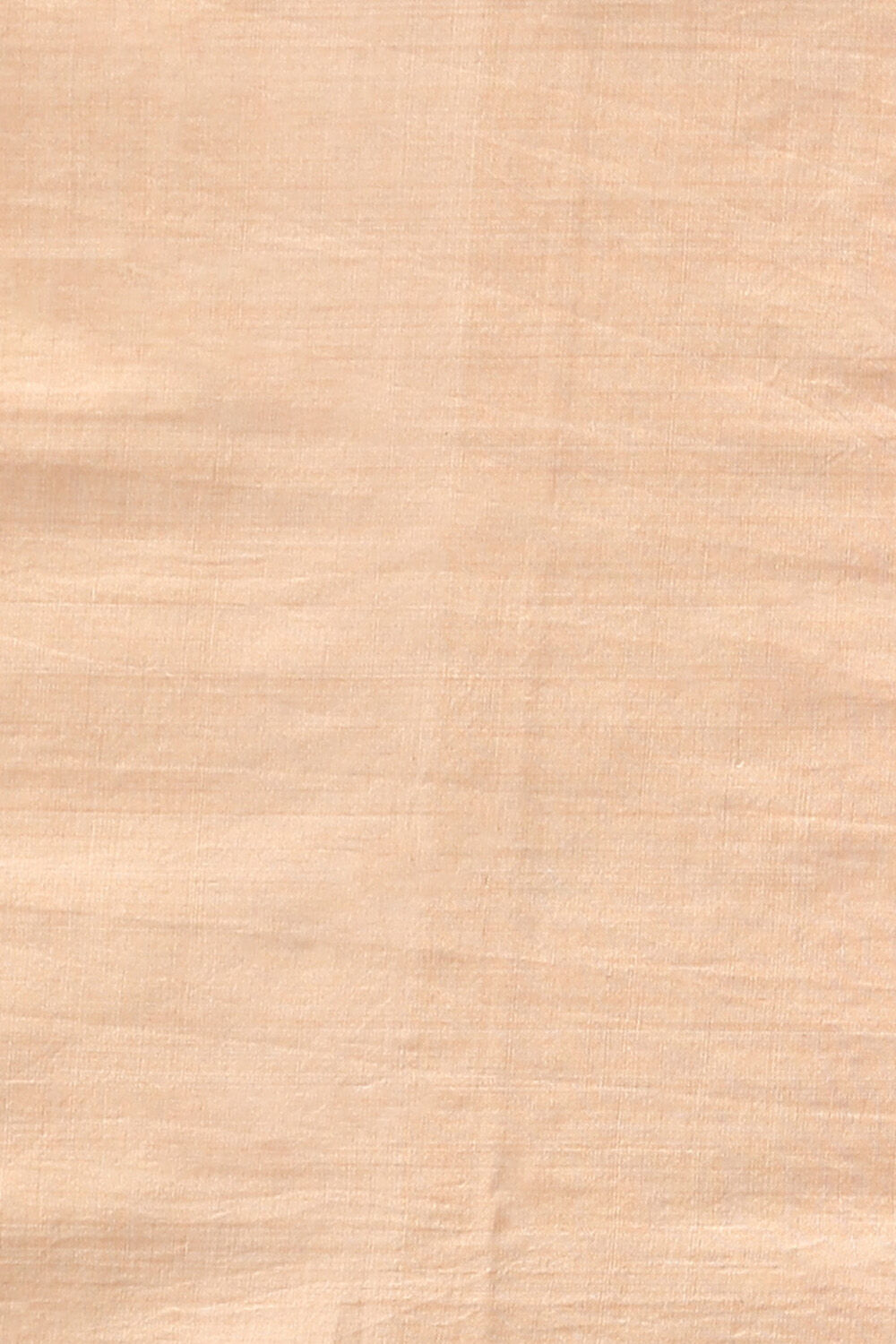 Beige Pure Cotton Odissa Ikat Saree image number null