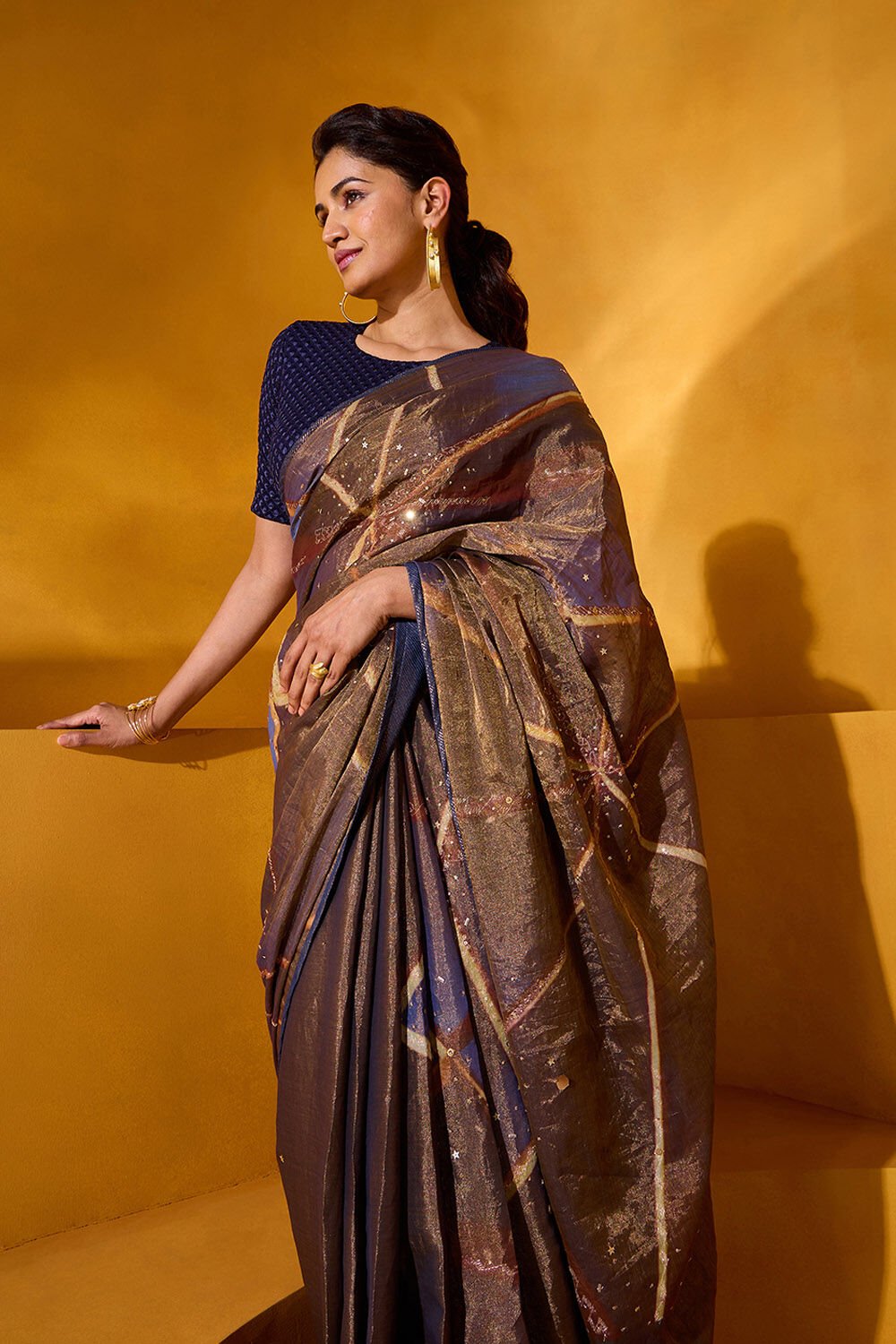 Brown Pure Tissue Cotton Embroidered Saree image number null