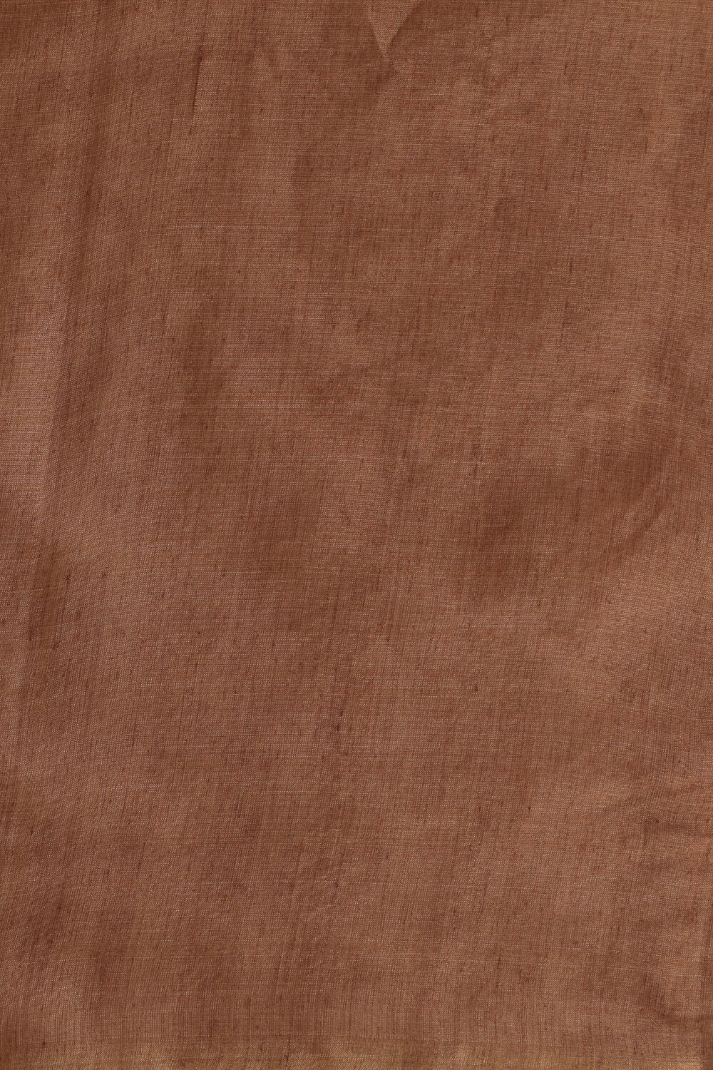 Brown Chattisgarh Pure Silk Tissue Woven Saree image number null