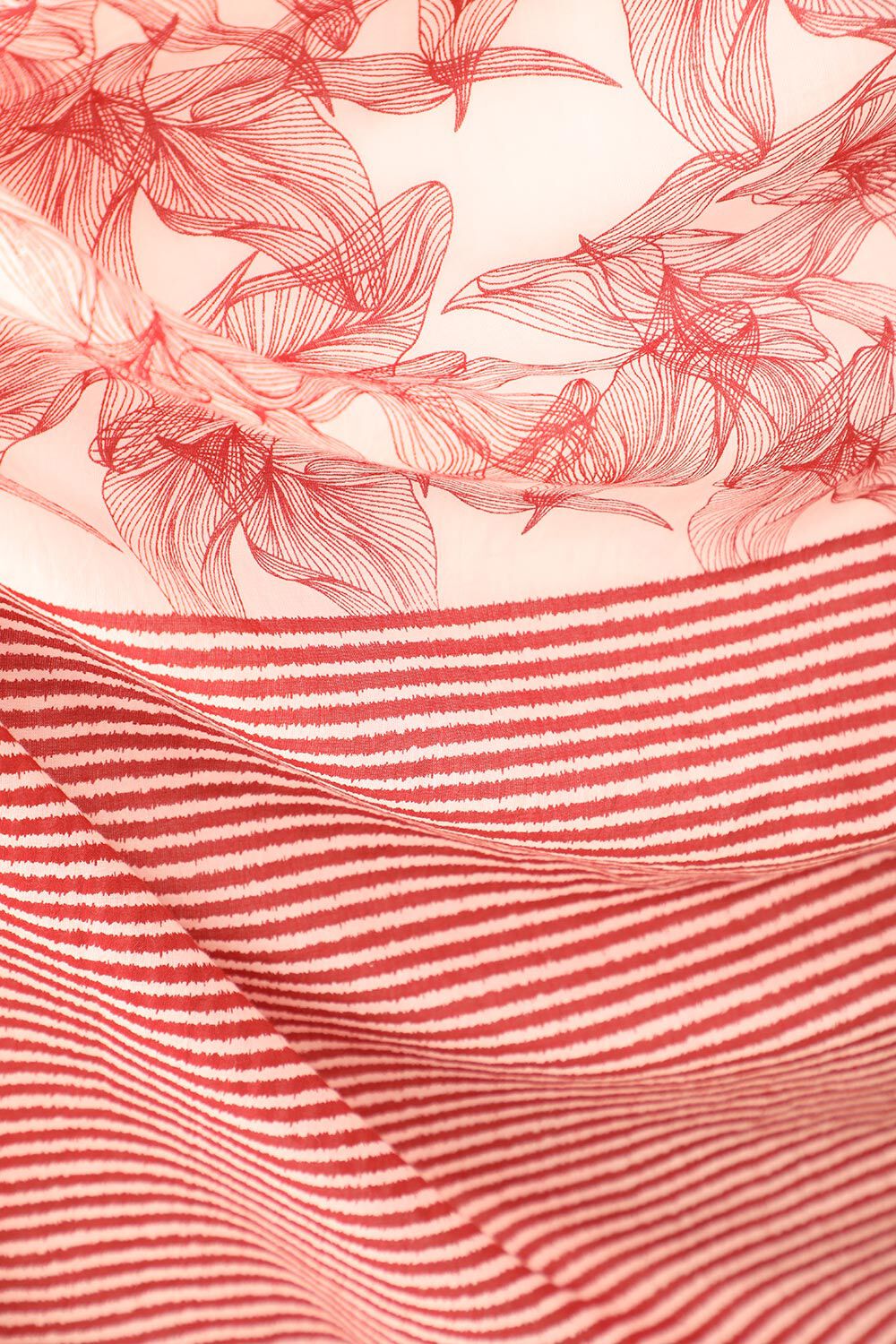 Off White Screen Printed Pure Cotton Saree image number null