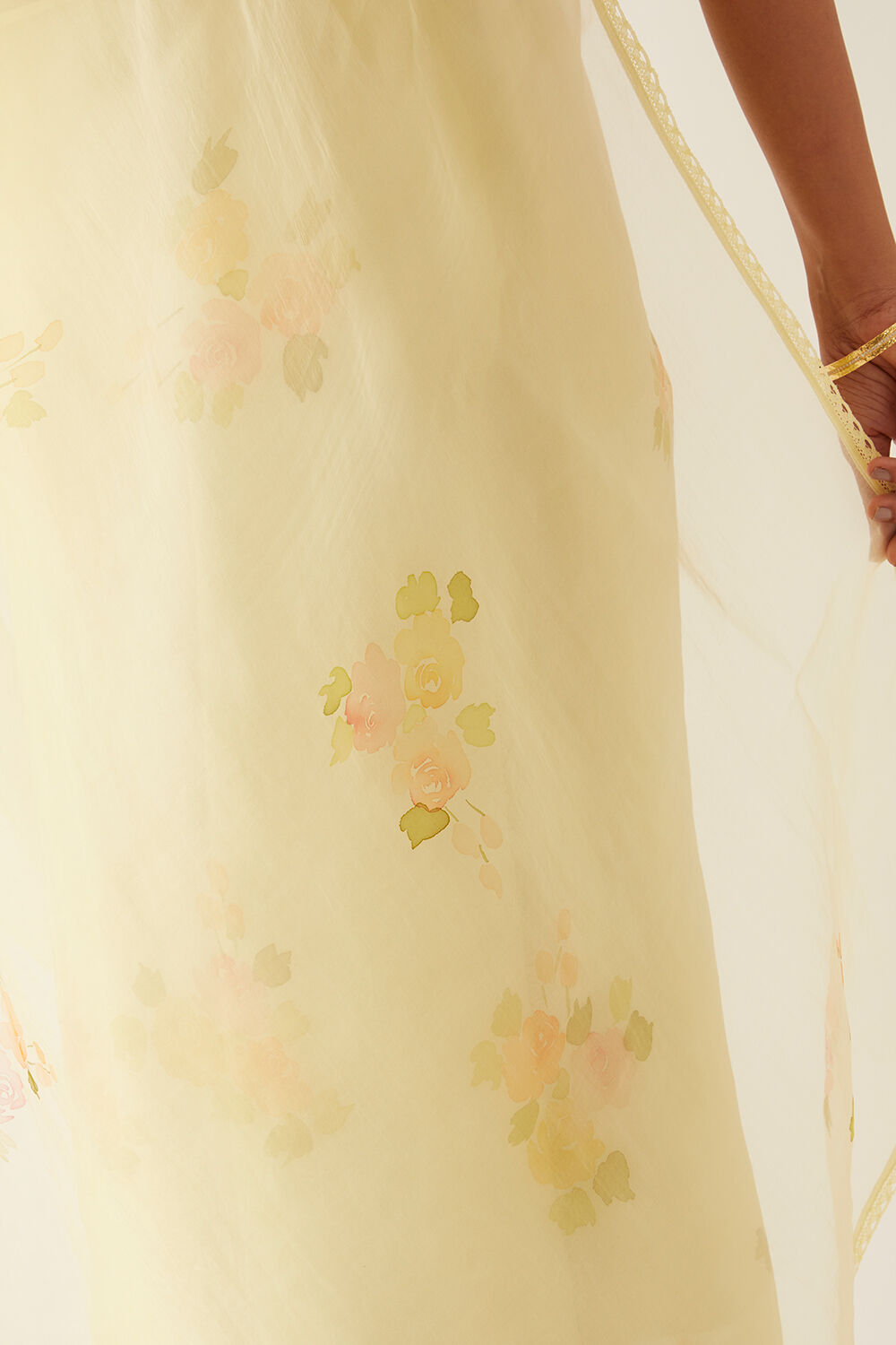 Light Yellow Pure Organza Painted Saree image number null