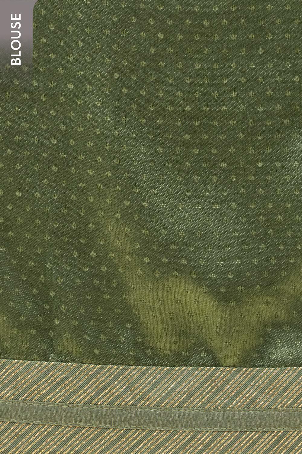 Green Viscose Tissue Embroidered Saree image number null