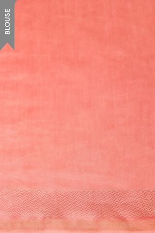 Light Pink Rajasthan Pure Silk Cotton Printed Sanganeri Saree thumbnail image number null