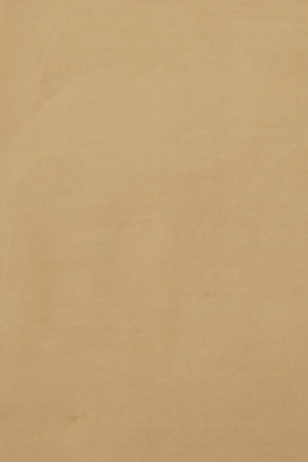 Beige Viscose Organza Digital Print Saree image number null
