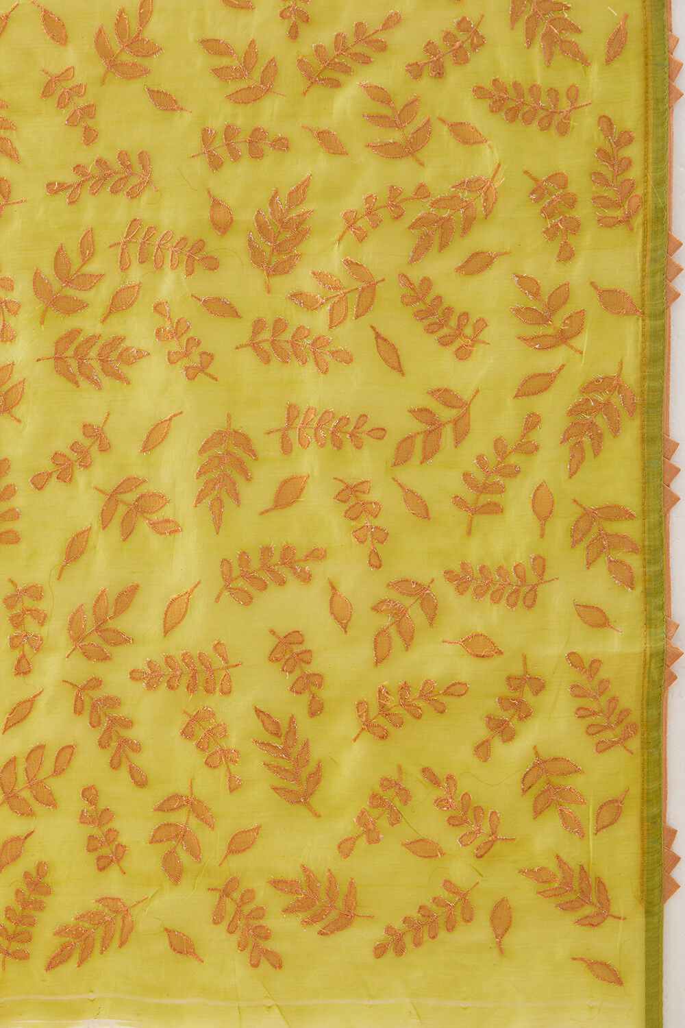 Light Green Pure Tissue Silk Embroidered Saree image number null