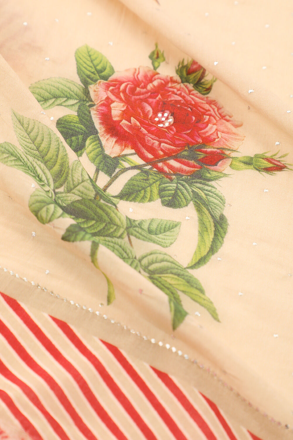 Light Beige Bhagalpur Pure Tussar Cotton Screen Printed Saree image number null