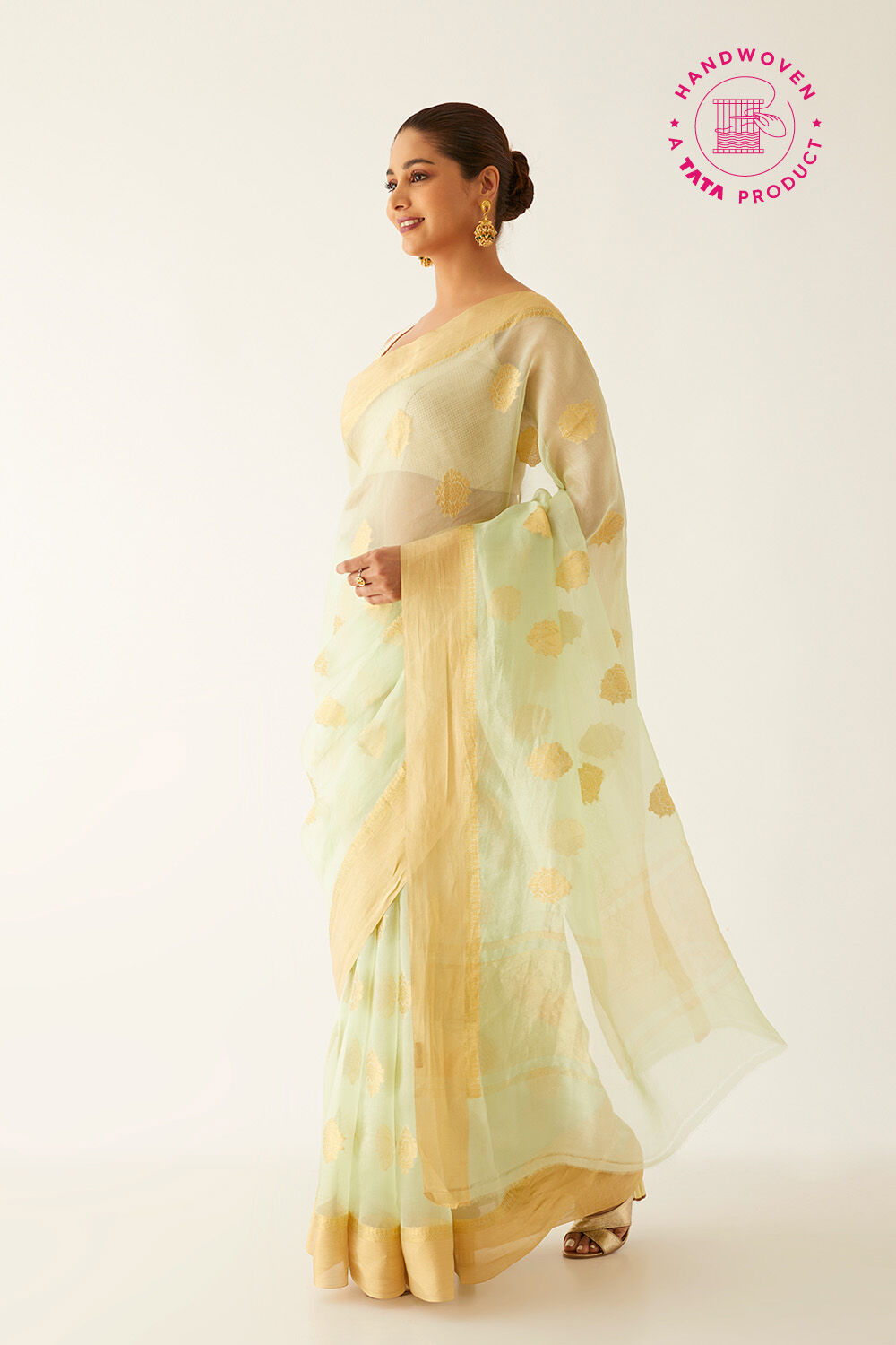Light Green Pure Organza Banarasi Saree image number null