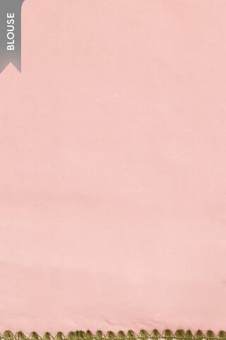 Light Pink Pure Silk Organza Embroidered Saree thumbnail image number null