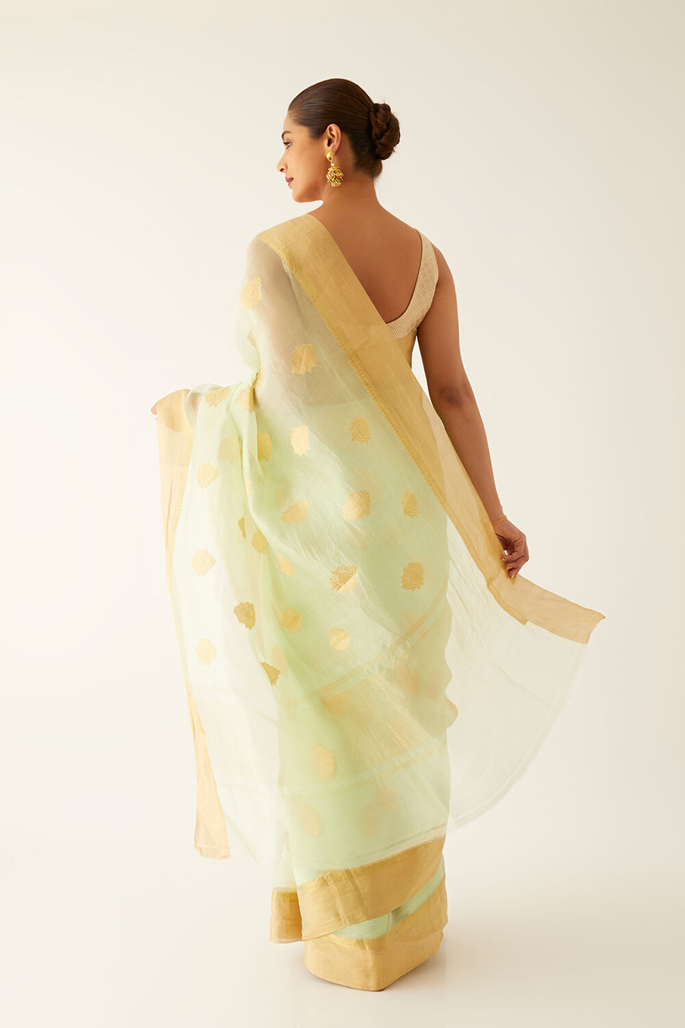 Light Green Pure Organza Banarasi Saree image number null