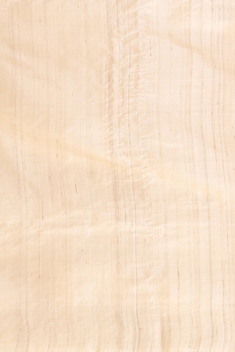 Beige Pure Tussar Silk Embroidered Saree image number null
