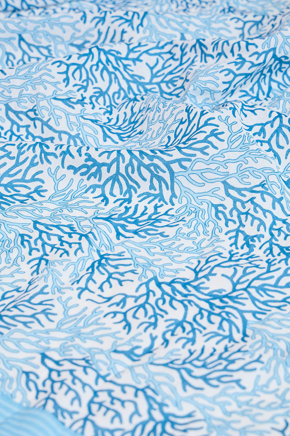 Light Blue Screen Printed Pure Mulmul Cotton Saree image number null