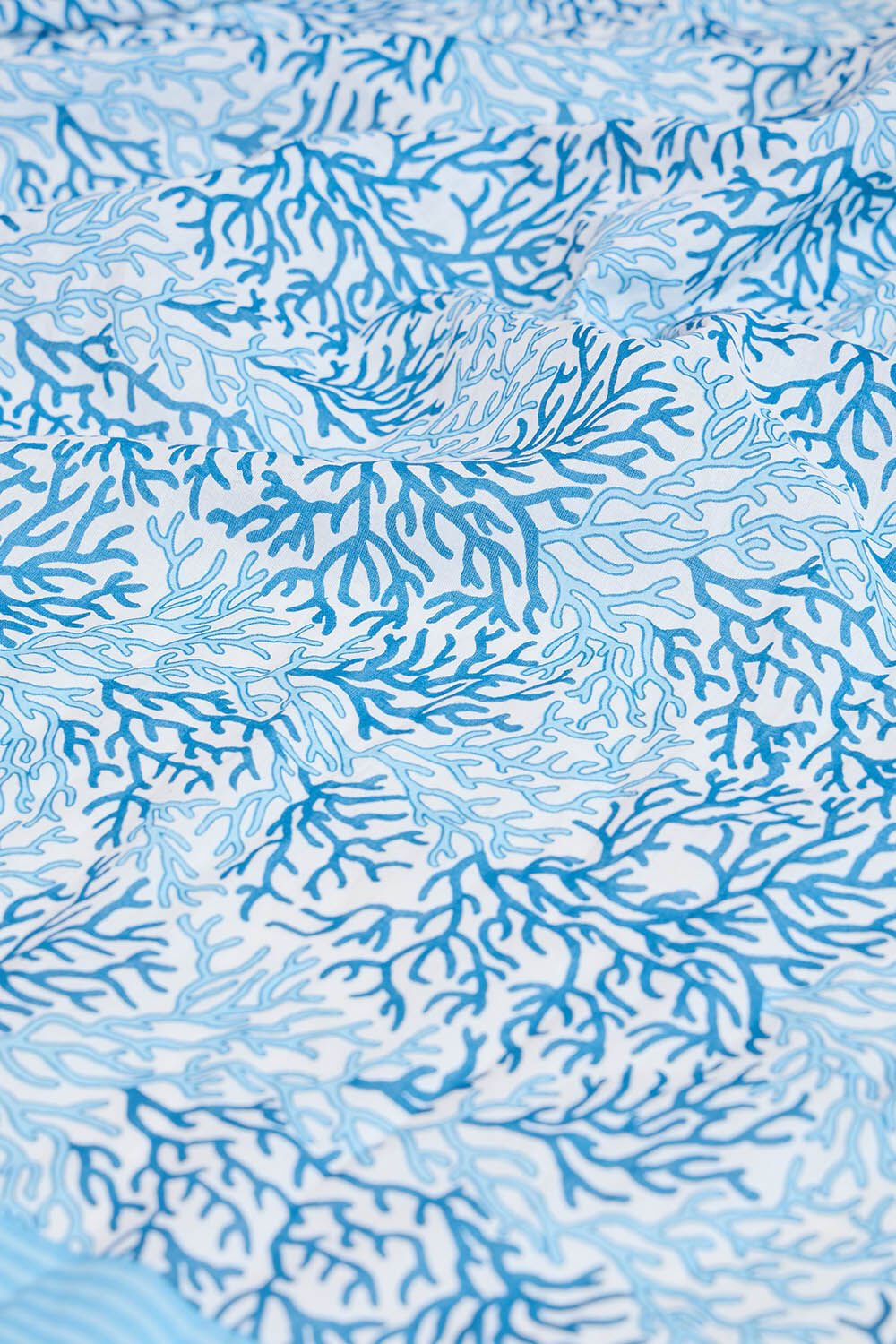 Light Blue Screen Printed Pure Mulmul Cotton Saree image number null