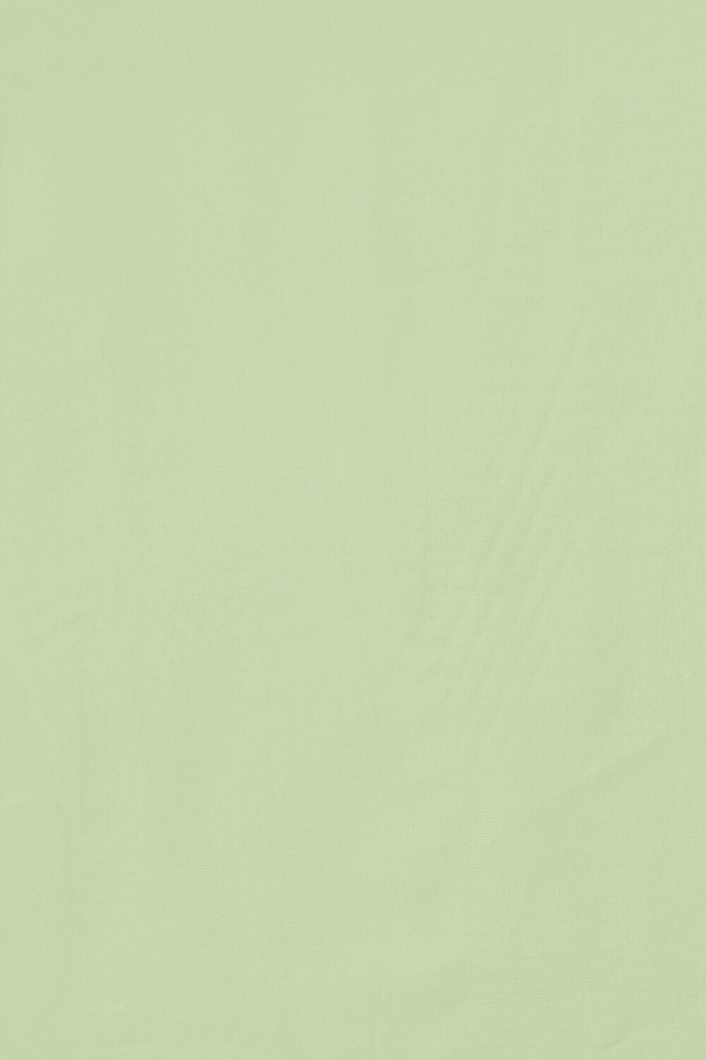 Light Green Viscose Crepe Digital Print Saree image number null